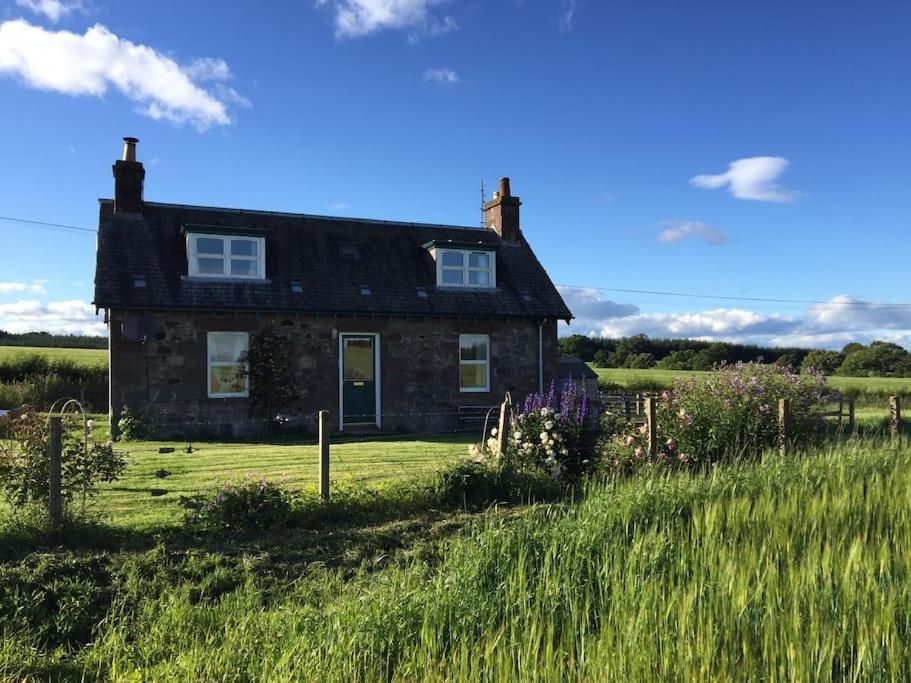 Blackhill Farm Cottage Perth Zewnętrze zdjęcie